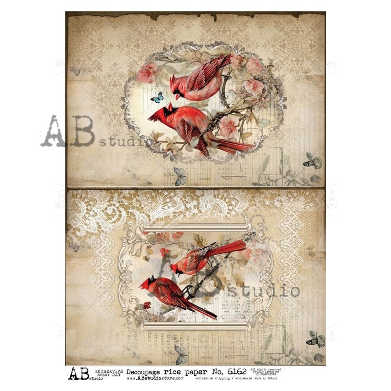 2024-Cardinals On Antique Paper ABRP_6162