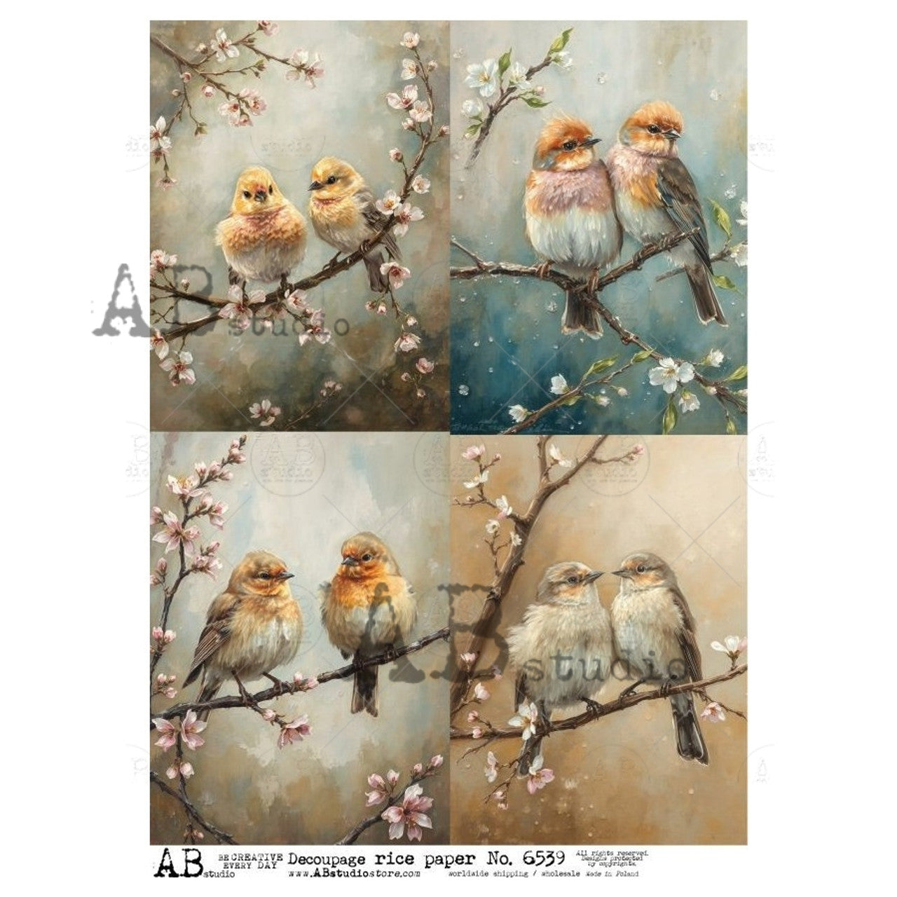 2025-Warm Spring Birds 4 Pack ABRP_6539