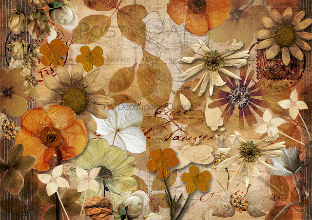 Decoupage Queen-Pressed Autumn flowers 0636