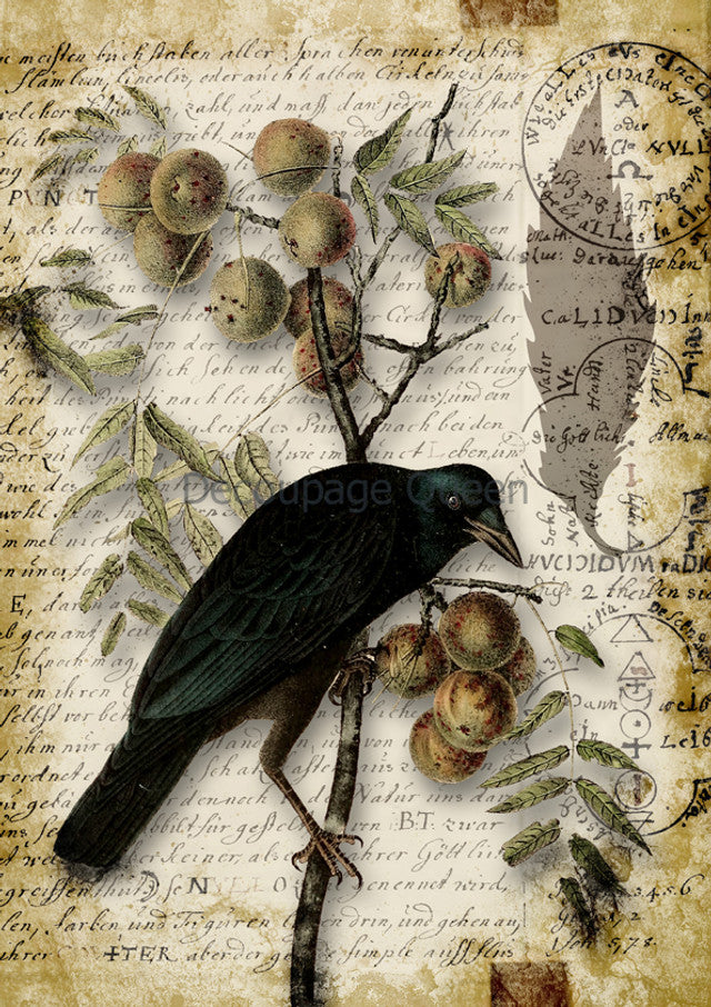 Decoupage Queen-Raven Grimoire III 0625