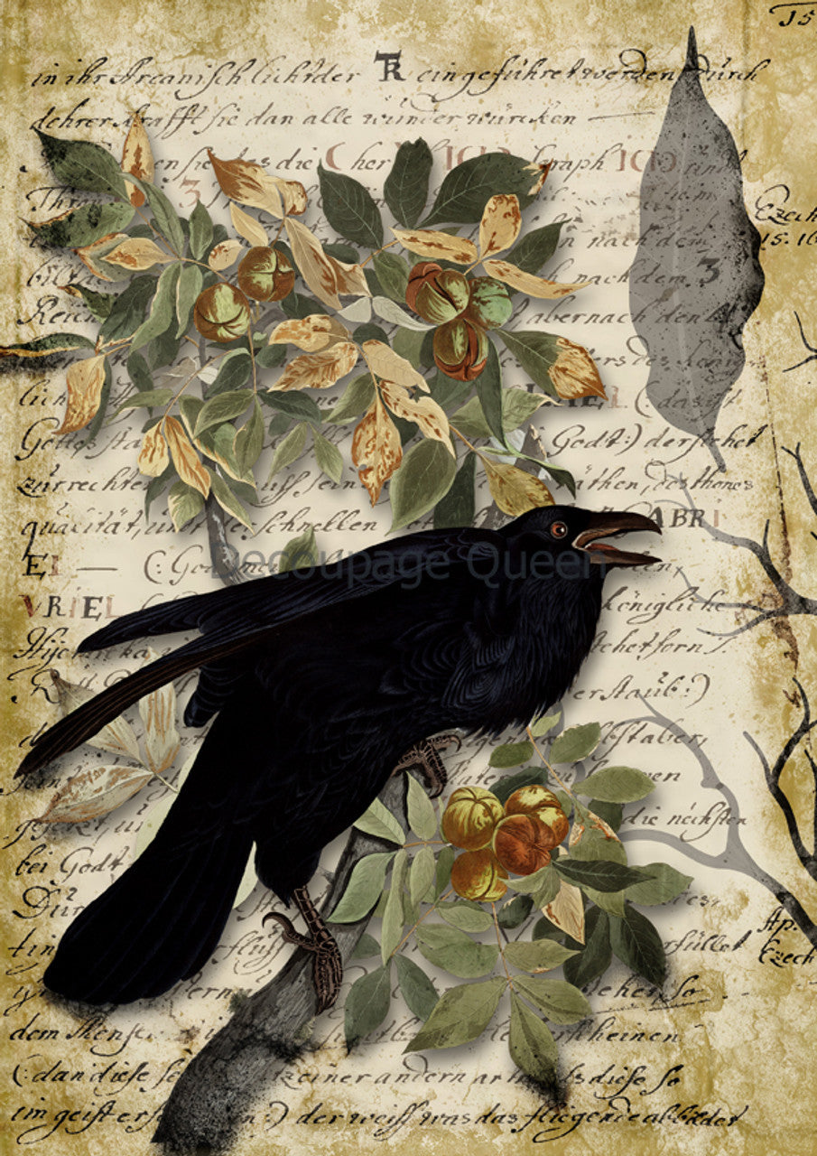 Decoupage Queen-Raven Grimoire II 0624