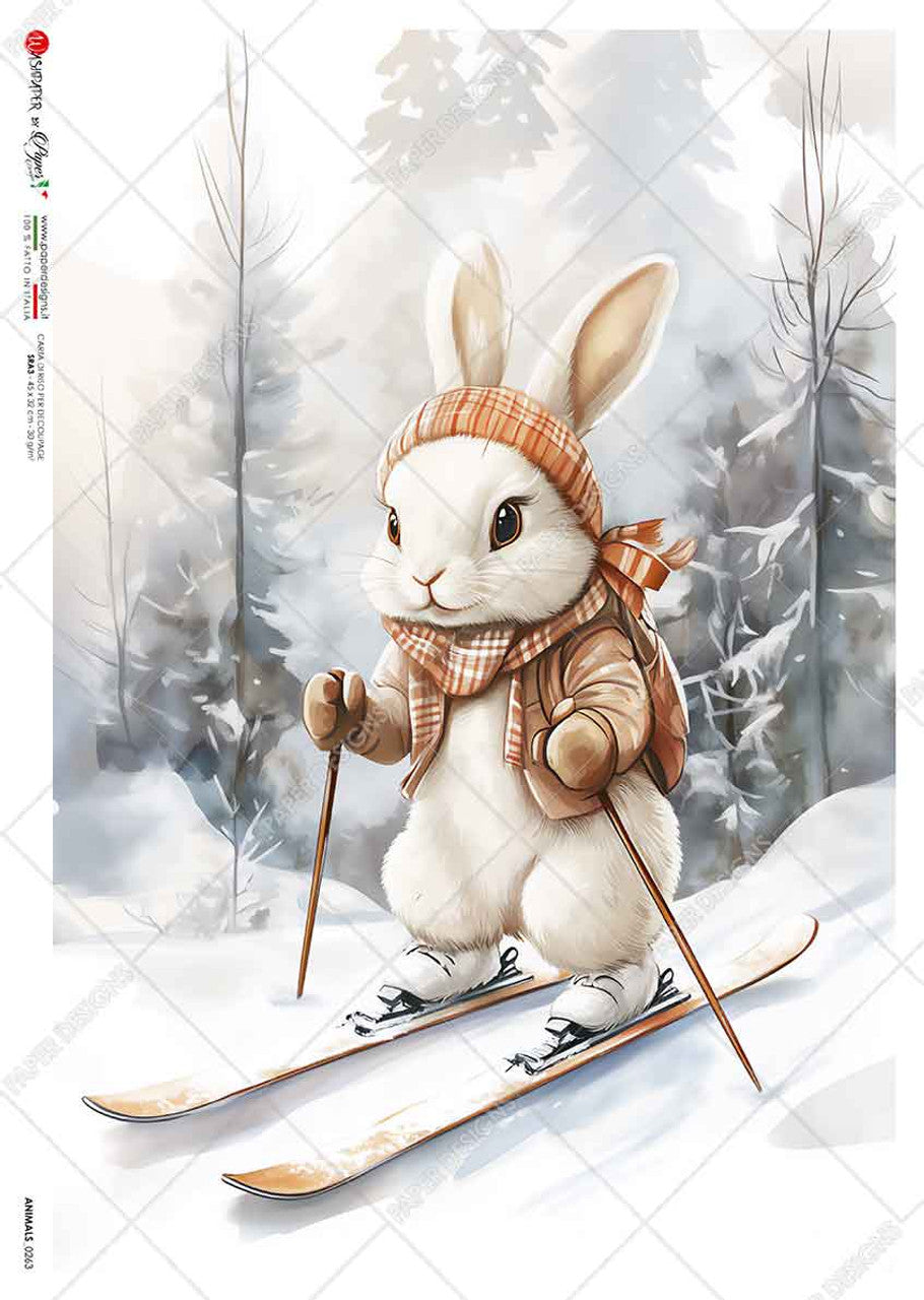 2024-Paper Designs-Snow Ski Rabbit 0263