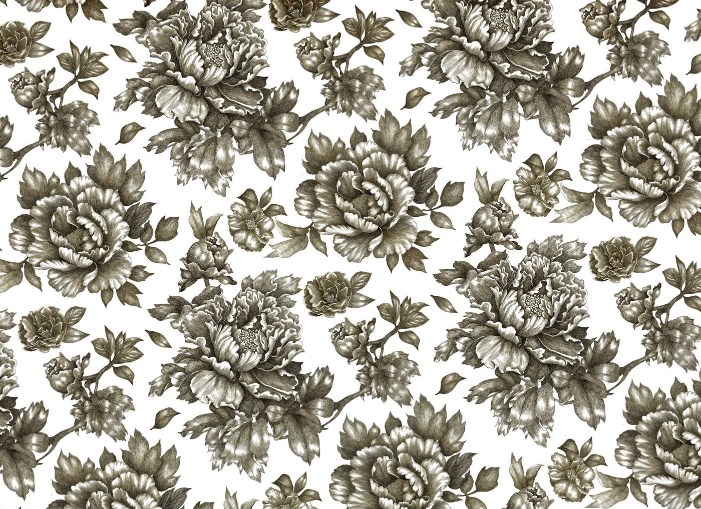 2025-Paintable Floral-New Release