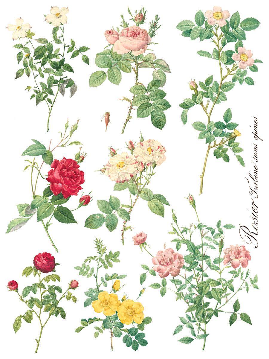 Rose Botanical Transfer